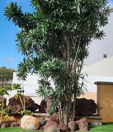 La Casita De La Tortuga Melenara