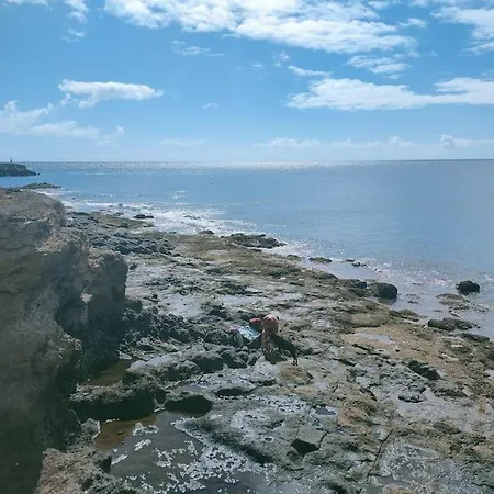 La Casita De La Tortuga